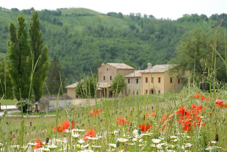 Villa Agriturismo Verziere Fermignano Exterior foto